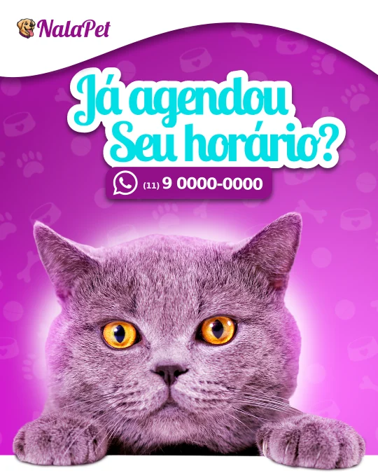 Nala pet shop (2)